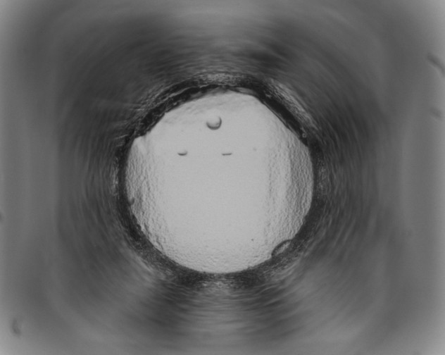 X0000096470259200802211157