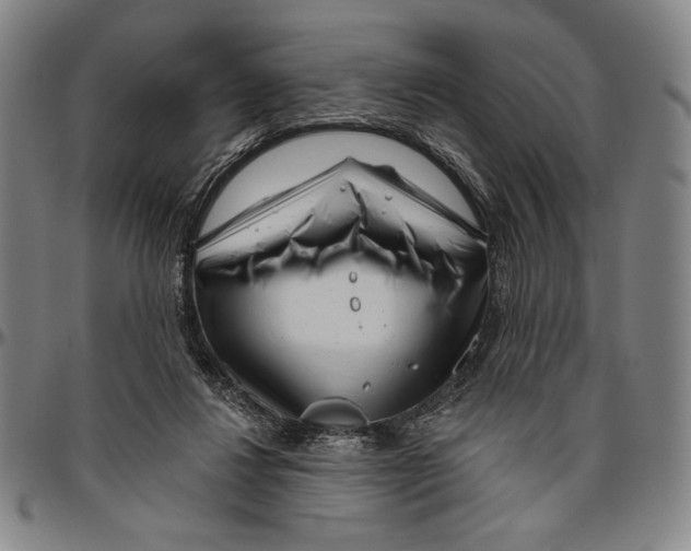 X0000096470260200802211157