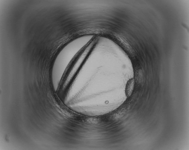 X0000096470261200802211157