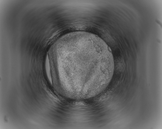 X0000096470262200802211157