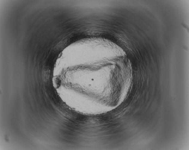 X0000096470263200802211157