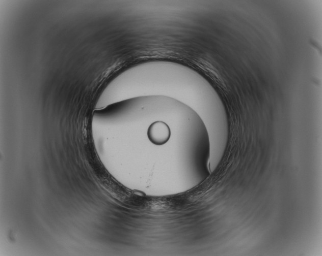 X0000096470264200802211157