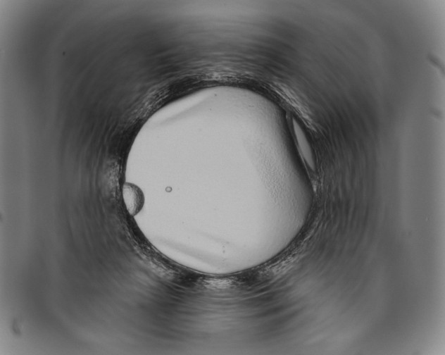 X0000096470265200802211157