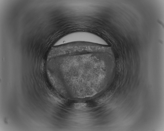 X0000096470266200802211157