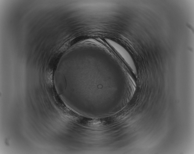 X0000096470267200802211157