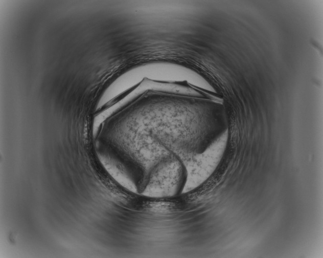 X0000096470268200802211158