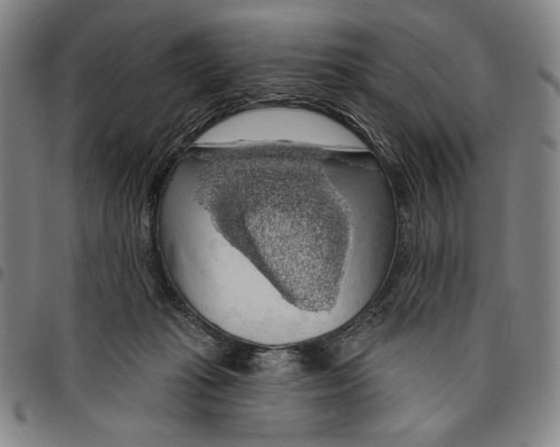X0000096470269200802211158