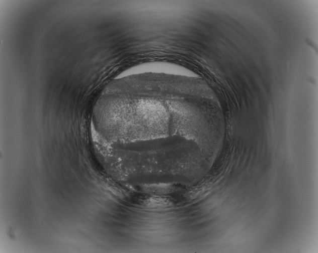 X0000096470270200802211158