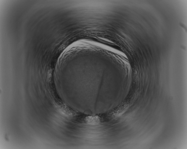 X0000096470271200802211158