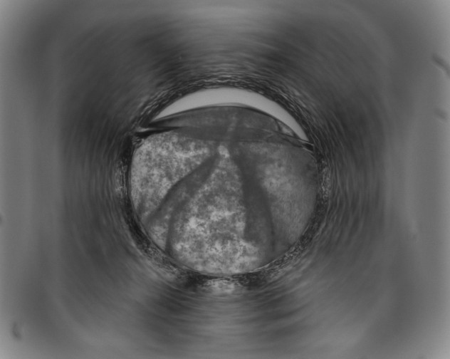 X0000096470272200802211158