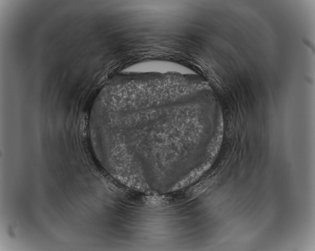 X0000096470273200802211158