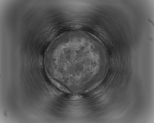 X0000096470274200802211158