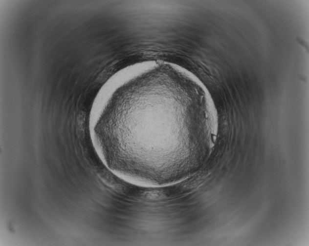 X0000096470275200802211158