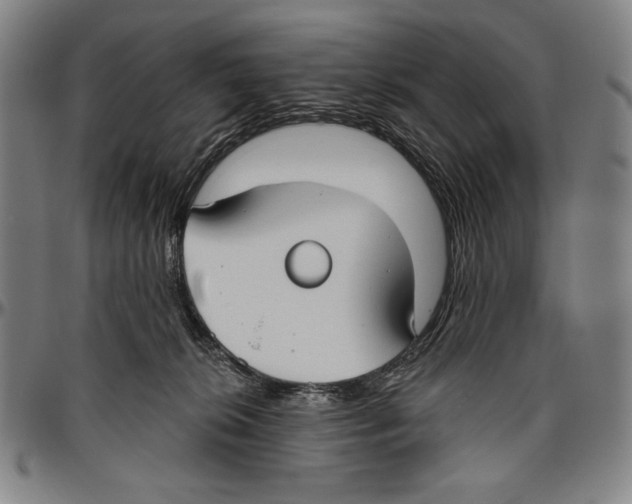 X0000096470276200802211158