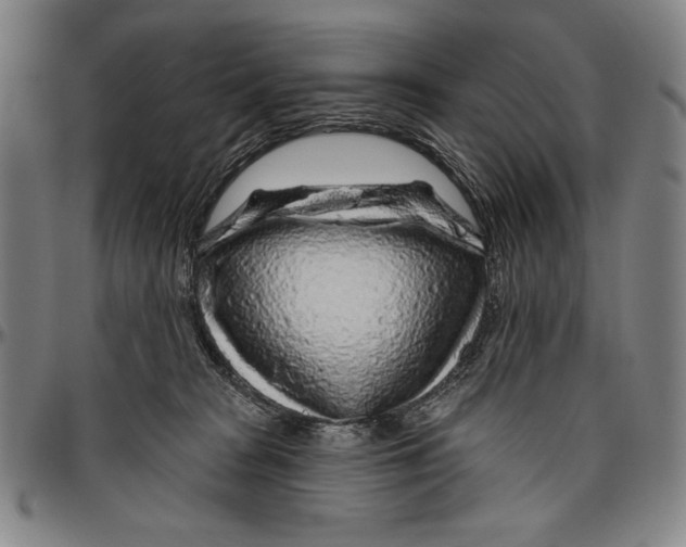 X0000096470277200802211158