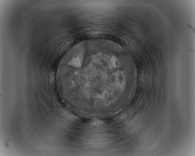 X0000096470278200802211158
