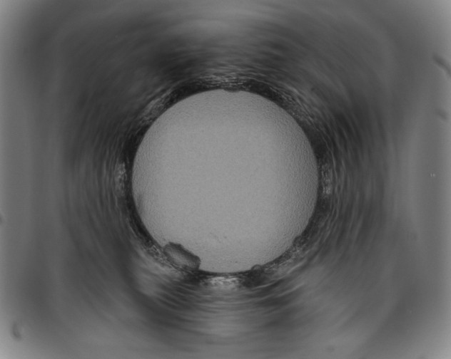 X0000096470279200802211158