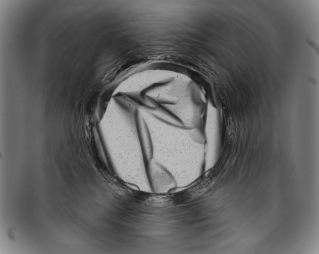 X0000096470280200802211158