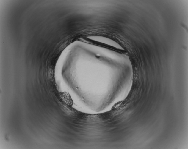 X0000096470281200802211158