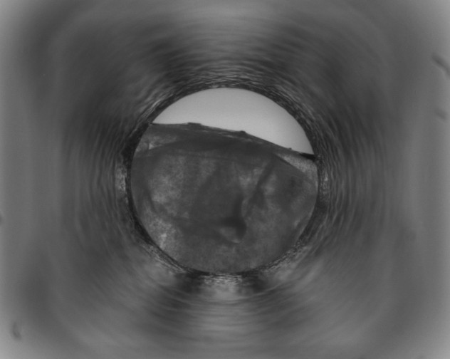 X0000096470282200802211158