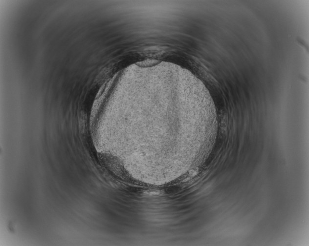 X0000096470283200802211158