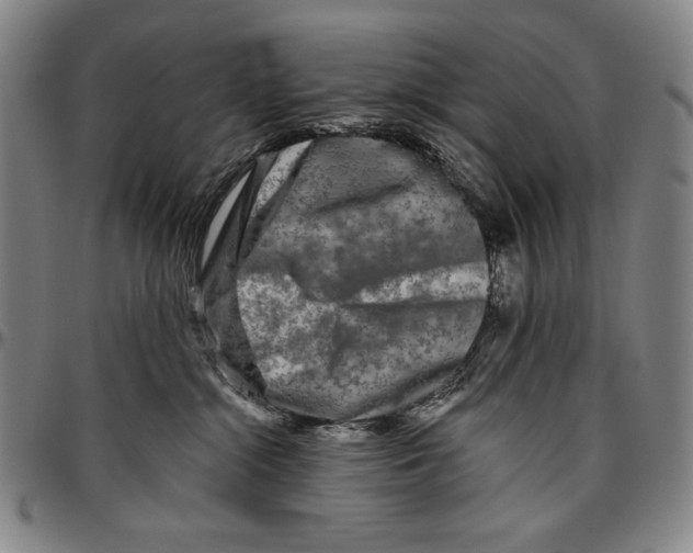 X0000096470284200802211158
