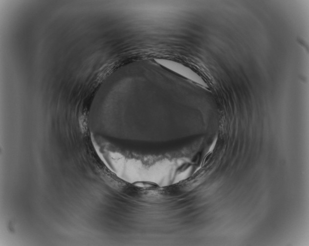 X0000096470285200802211158