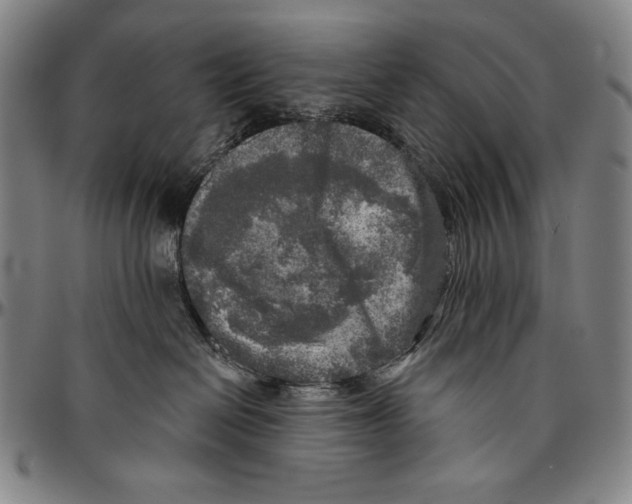 X0000096470286200802211158