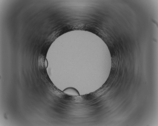X0000096470287200802211158