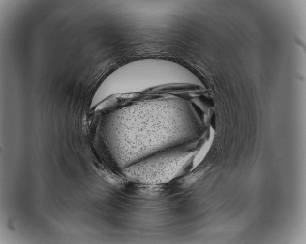X0000096470288200802211158