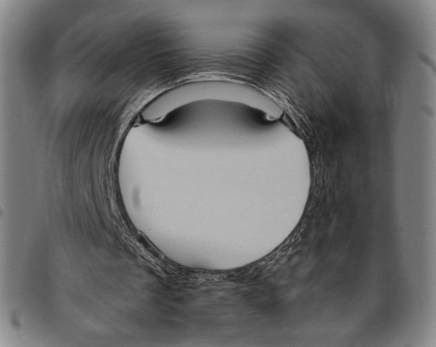 X0000096470289200802211157