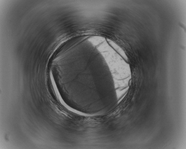 X0000096470290200802211157