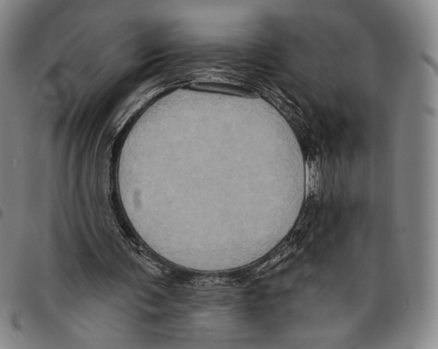X0000096470291200802211157