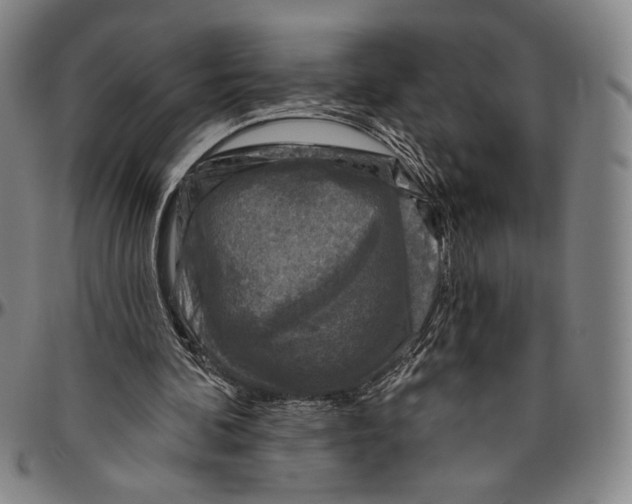 X0000096470292200802211157