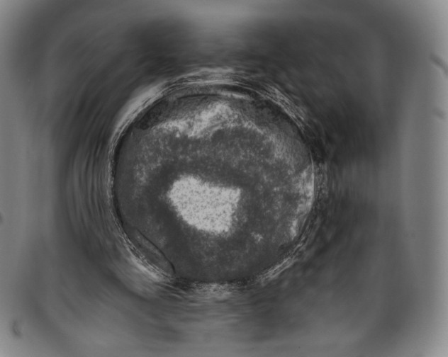 X0000096470293200802211157