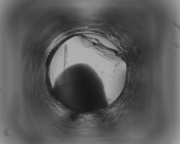 X0000096470295200802211157