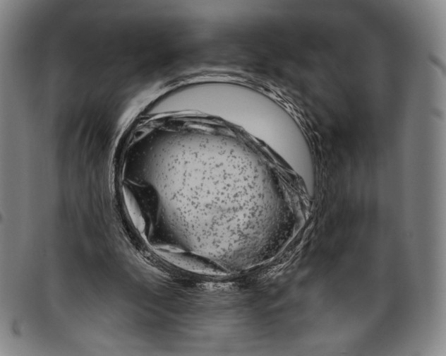X0000096470296200802211157
