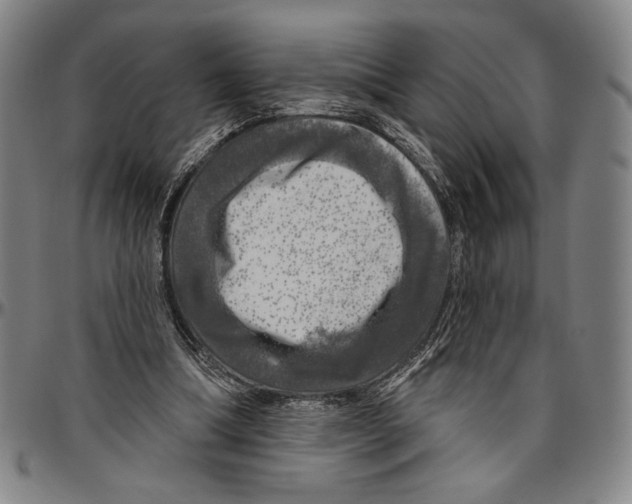 X0000096470298200802211157