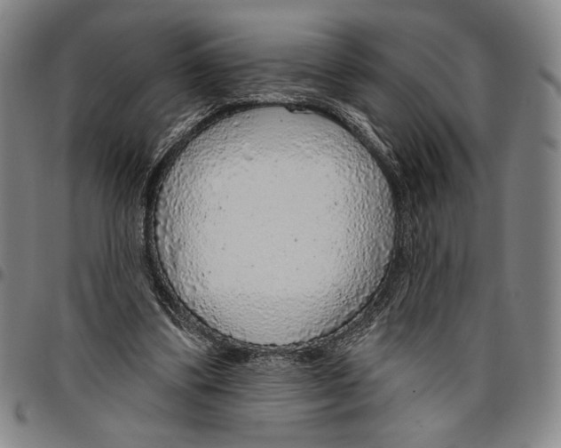 X0000096470299200802211157