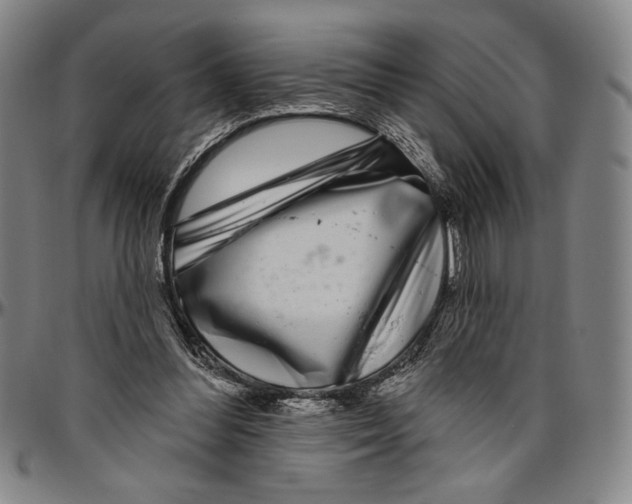 X0000096470300200802211157