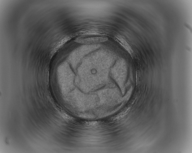 X0000096470301200802211157
