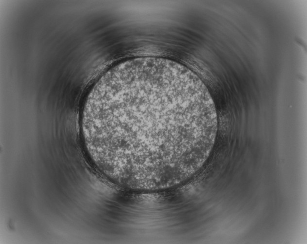 X0000096470302200802211157