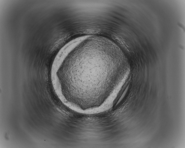 X0000096470303200802211157