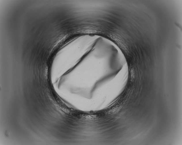 X0000096470304200802211157