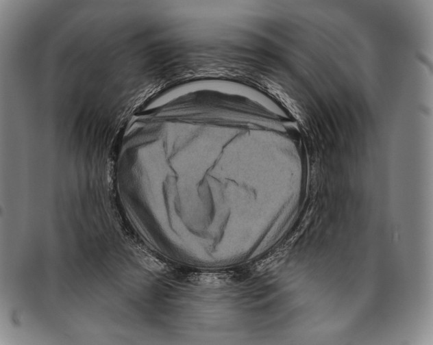 X0000096470305200802211157