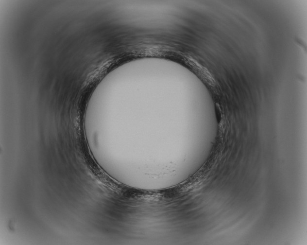 X0000096470306200802211157