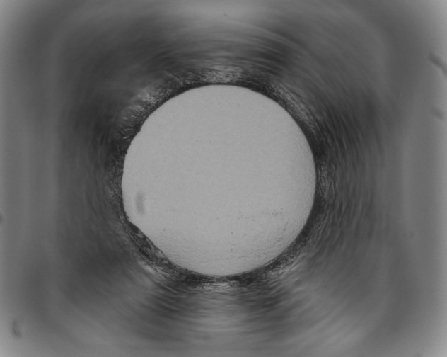 X0000096470307200802211157
