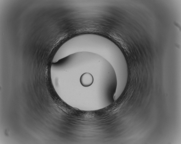 X0000096470308200802211157