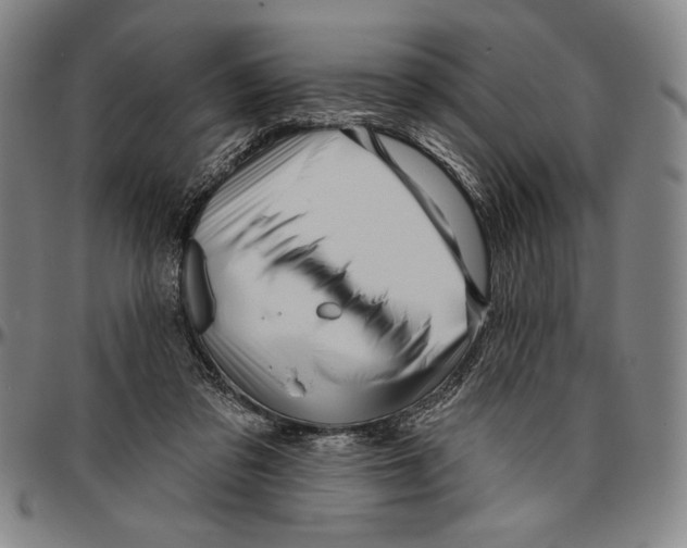 X0000096470309200802211157