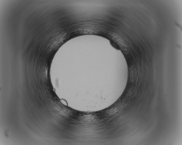 X0000096470310200802211157